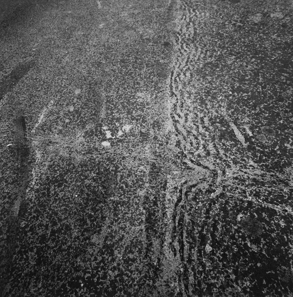 06_DSC2231