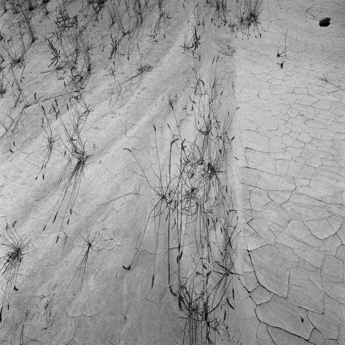 50-01_2005_FLAT_WEB