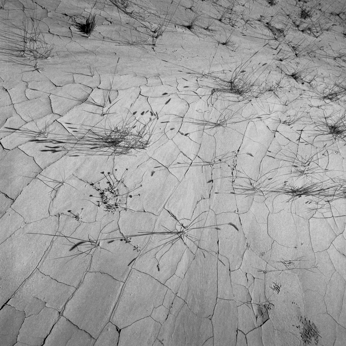 50-11_2005_FLAT_WEB